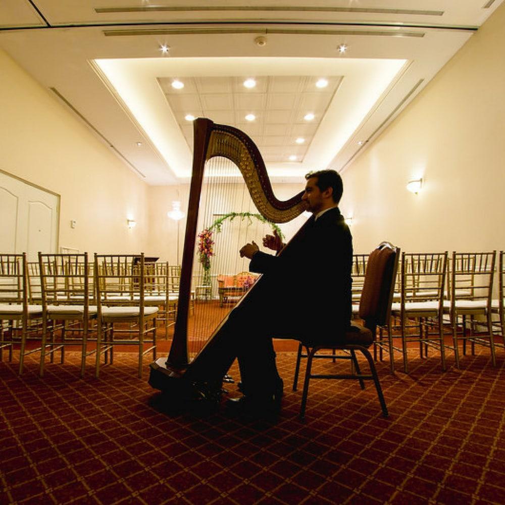 Safi Royal Luxury Valle San Pedro Garza Garcia Экстерьер фото Harpist at a wedding