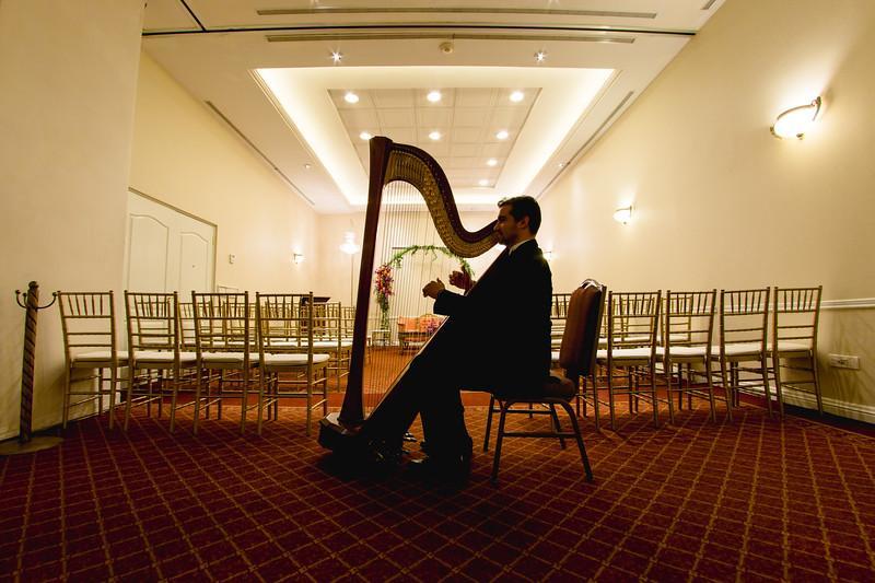Safi Royal Luxury Valle San Pedro Garza Garcia Экстерьер фото A harpist playing at a wedding